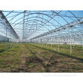 Poly tunnel film vegetable greenhouses galvanized greenhouse